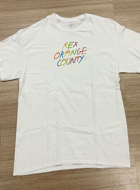 Rex Orange County主题印花半袖vintage古着文艺风重磅棉短袖T恤