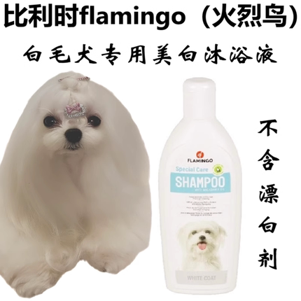 比利时原装白毛犬专用美白沐浴液马尔济斯比熊香波温和去氧化黄气