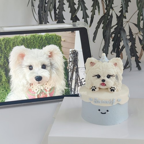 3寸奶盖小蛋糕宠物狗狗猫咪生日蛋糕 可定制头像 全国顺丰可发