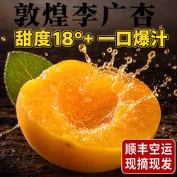 【顺丰包邮】敦煌李广杏新鲜水果杏子甘肃特产敦煌杏现摘自然熟