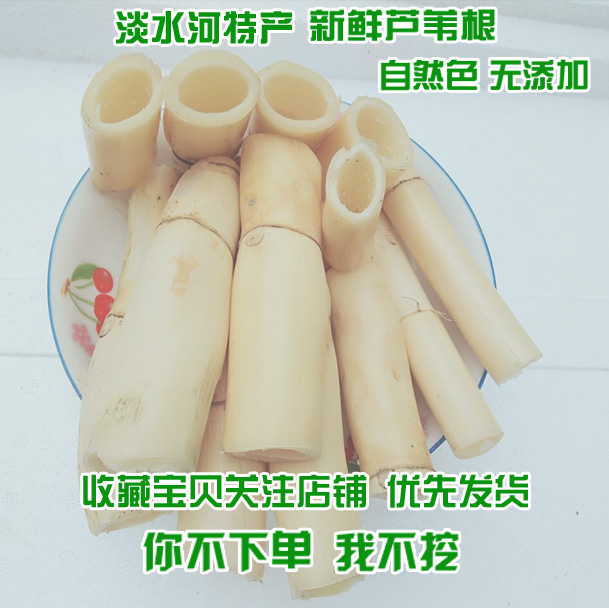 250克装农村土特产野生芦苇根须芦根新鲜现挖现发有白茅根条