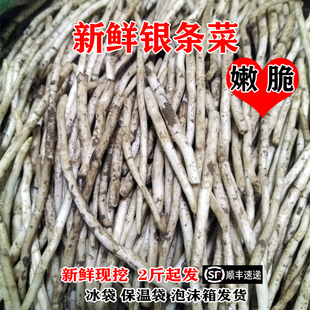 农家自种土特产新鲜银条菜脆嫩根地参银条条现挖现发