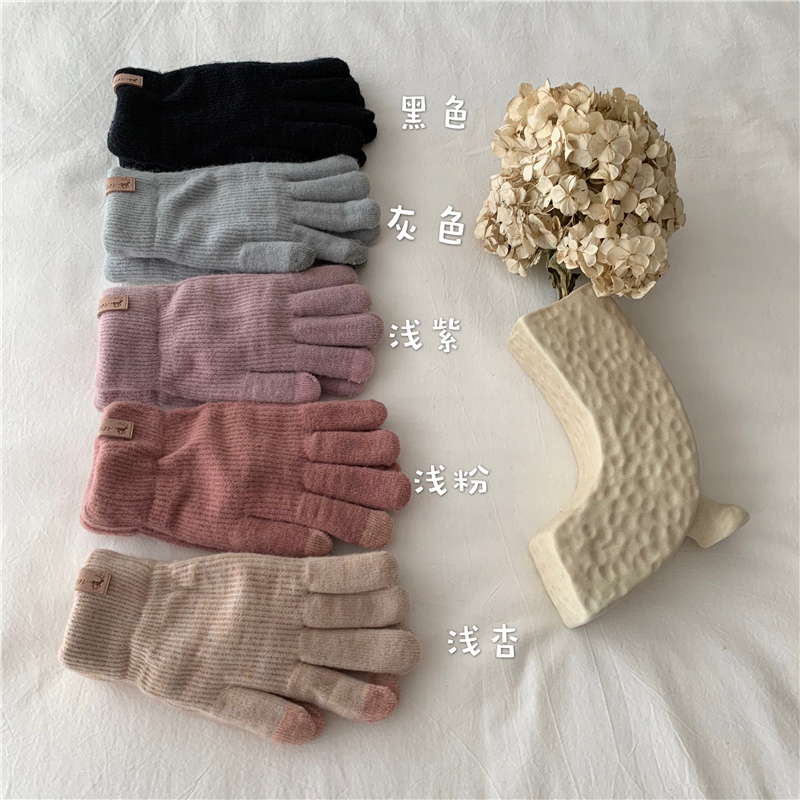ins双层加绒加厚五指女成人手套骑车写字手套触屏手套女冬