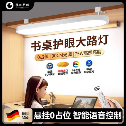 国AA壁挂式护眼台灯学习专用大路灯儿童书桌柜板夹子全光谱悬挂式