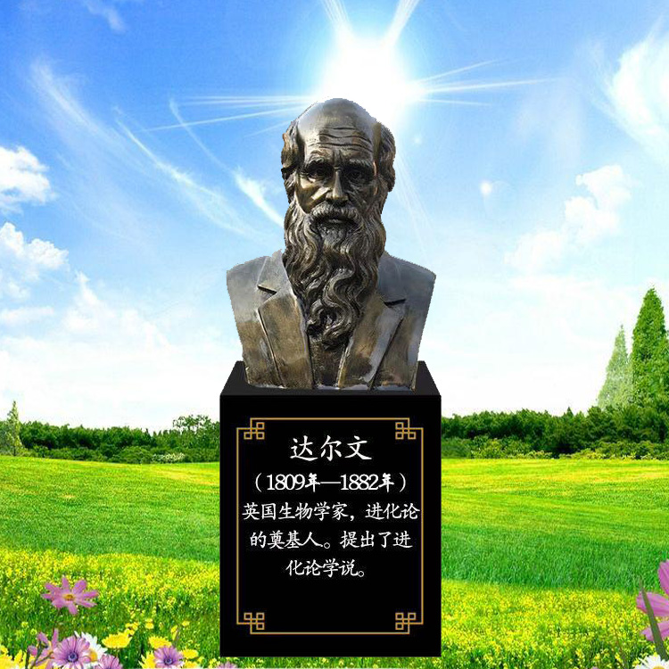 定制达尔文雕塑玻璃钢树脂订做国外人物雕像校园名人半身胸像摆件