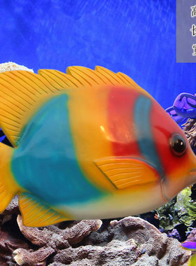 石膏海洋馆雕像模型摆件设计定制