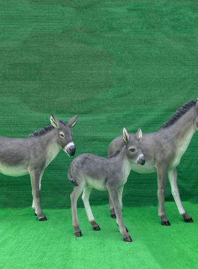 定制小毛驴雕塑玻璃钢彩绘写实像