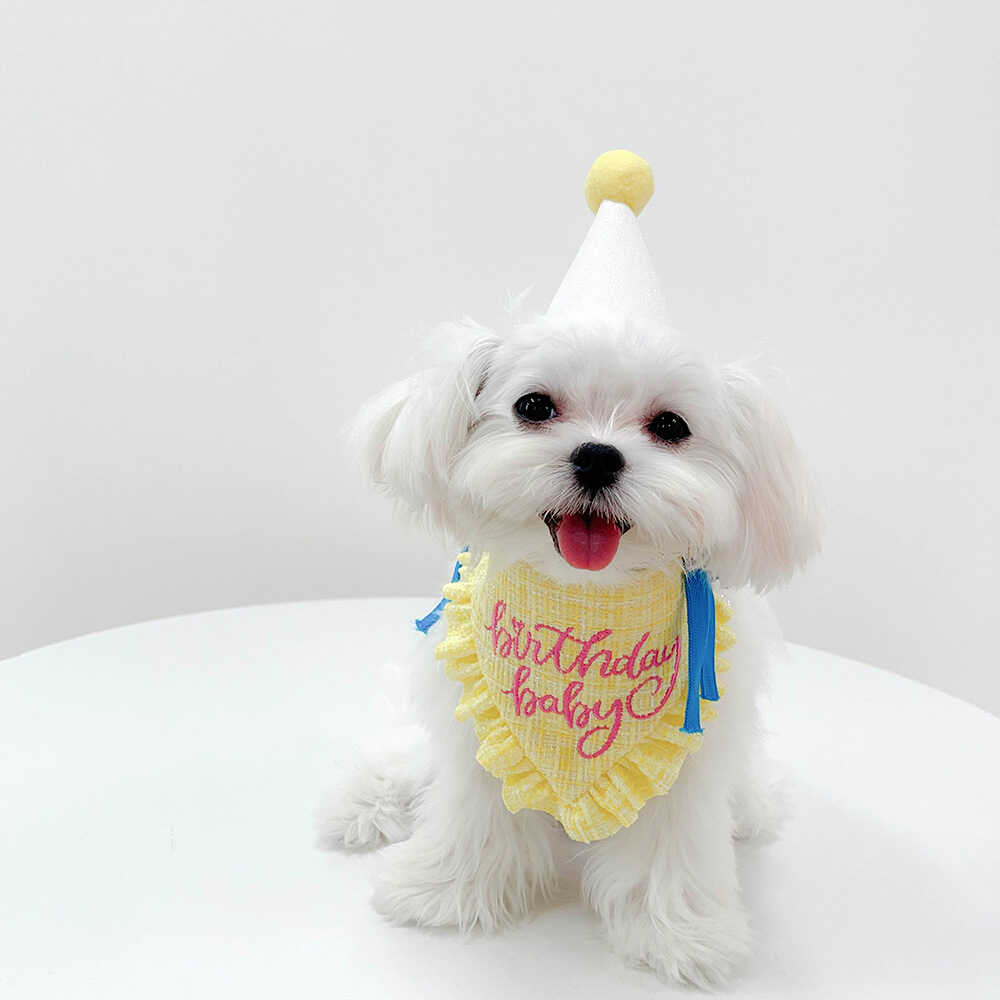 狗狗猫咪生日派对ins小帽子