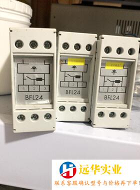 SSB艾默生系统模块BFL24/2