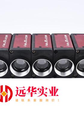 AVT Stingray F504B ASG黑白工业相机 大