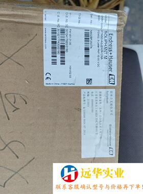 FTM50-AGJ2A2A12AA E+H恩德斯豪斯料位