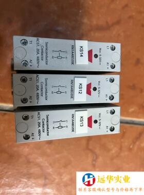 固态继电器RN1A48D20E