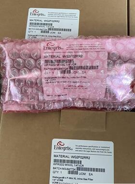 Entegris 1/4嵌入式气体过滤器WG2F02RR