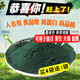 4送1官方正品 云南固冠螺旋藻粉180g钝顶纯海藻粉高蛋白人用食品级