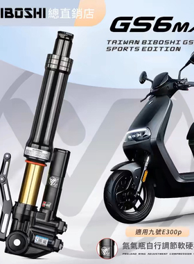 比博士GS6MAX倒置前减震33芯适用九号E300P E200P M95C+MZ NZ避震