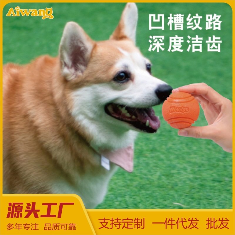 Meianju狗狗玩具球金毛耐咬球磨牙大狗解闷神器弹力洁齿中狗玩具,宠物/宠物食品及用品,发声玩具,淘宝优惠券,粉丝福利购,淘宝优惠卷
