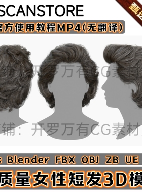 3DScanStore写实毛发男女性插片短发长头发背头3D模型Blender FBX
