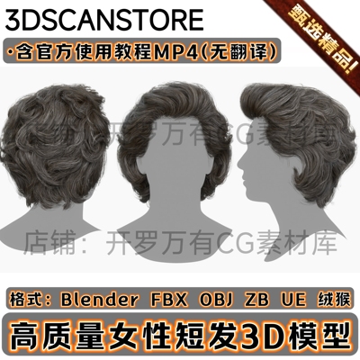 3DScanStore写实毛发男女性插片短发长头发背头3D模型Blender FBX