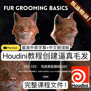 Houdini教程创建影视级逼真角色毛发猫毛皮Karma基础渲染3D教程