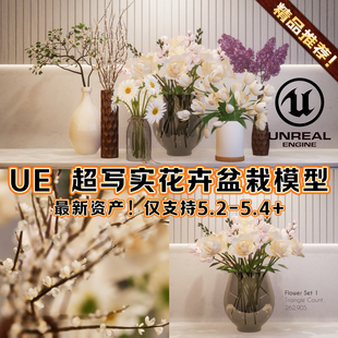 UE5.4虚幻5逼真写实花卉花朵盆栽室内场景环境建筑装饰家具3A模型