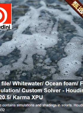 Houdini FX Hip File Ocean foam Custom Solver Flip Choco Vy