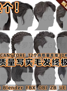 3DScanStore高质量写实角色毛发男女插片头发卡3D模型Blender FBX