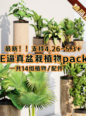 UE4/5虚幻逼真植物盆栽室内设计场景道具轻模型PottedPlantPack6