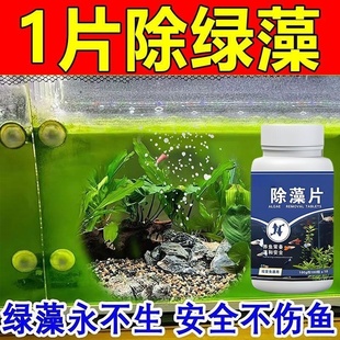 鱼缸除藻剂片剂去苔剂净青苔清除剂褐藻绿水藻去除水草不伤鱼藻剂