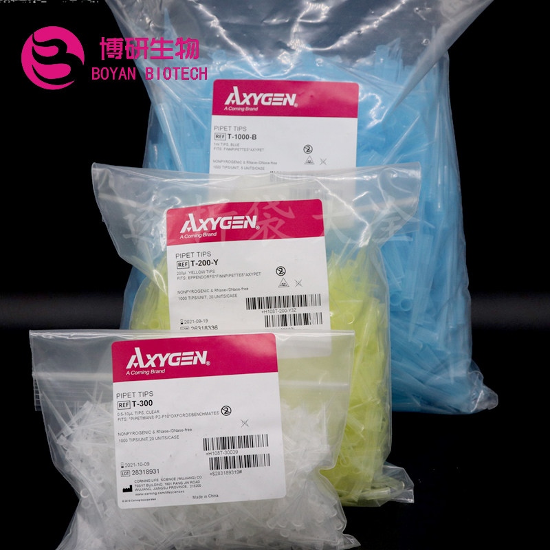 爱思进10 200 1000ul白黄蓝吸头枪头吸嘴AXYGEN T-300 T-200-Y