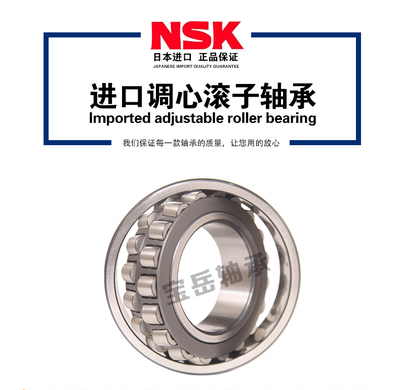 NSK/恩斯凯双列调心调心滚子轴承