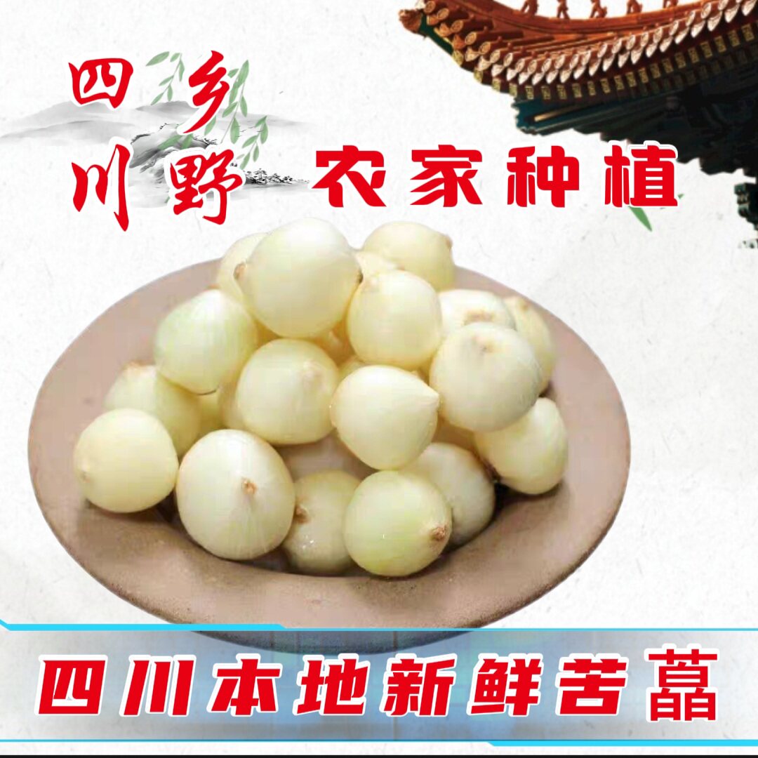 四川农家新鲜苦藠团葱小野蒜茭洋葱小根蒜苦蒜薤白荞头做咸菜炖汤
