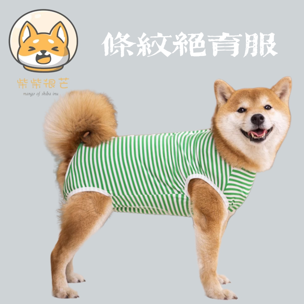 宠物柴犬绝育服狗狗手术后服薄款断奶公母防掉毛防舔金毛四脚衣服