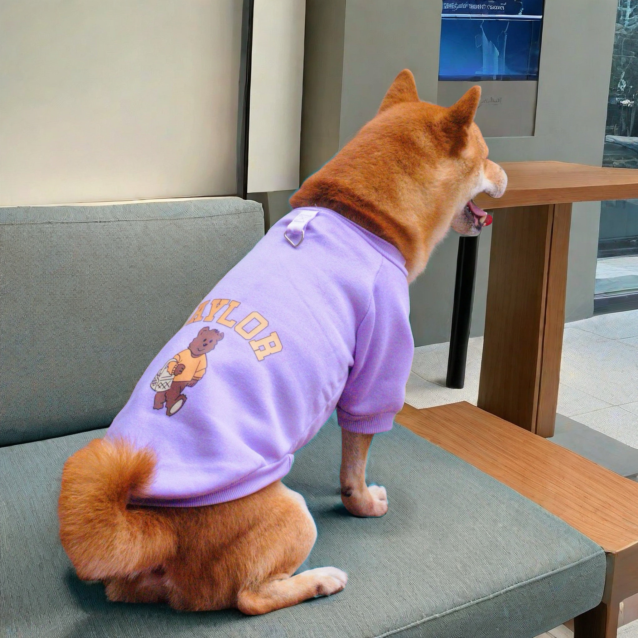 宠物亲子装柴犬潮牌T恤狗狗猫咪中小型犬春秋季卫衣秋冬保暖衣服