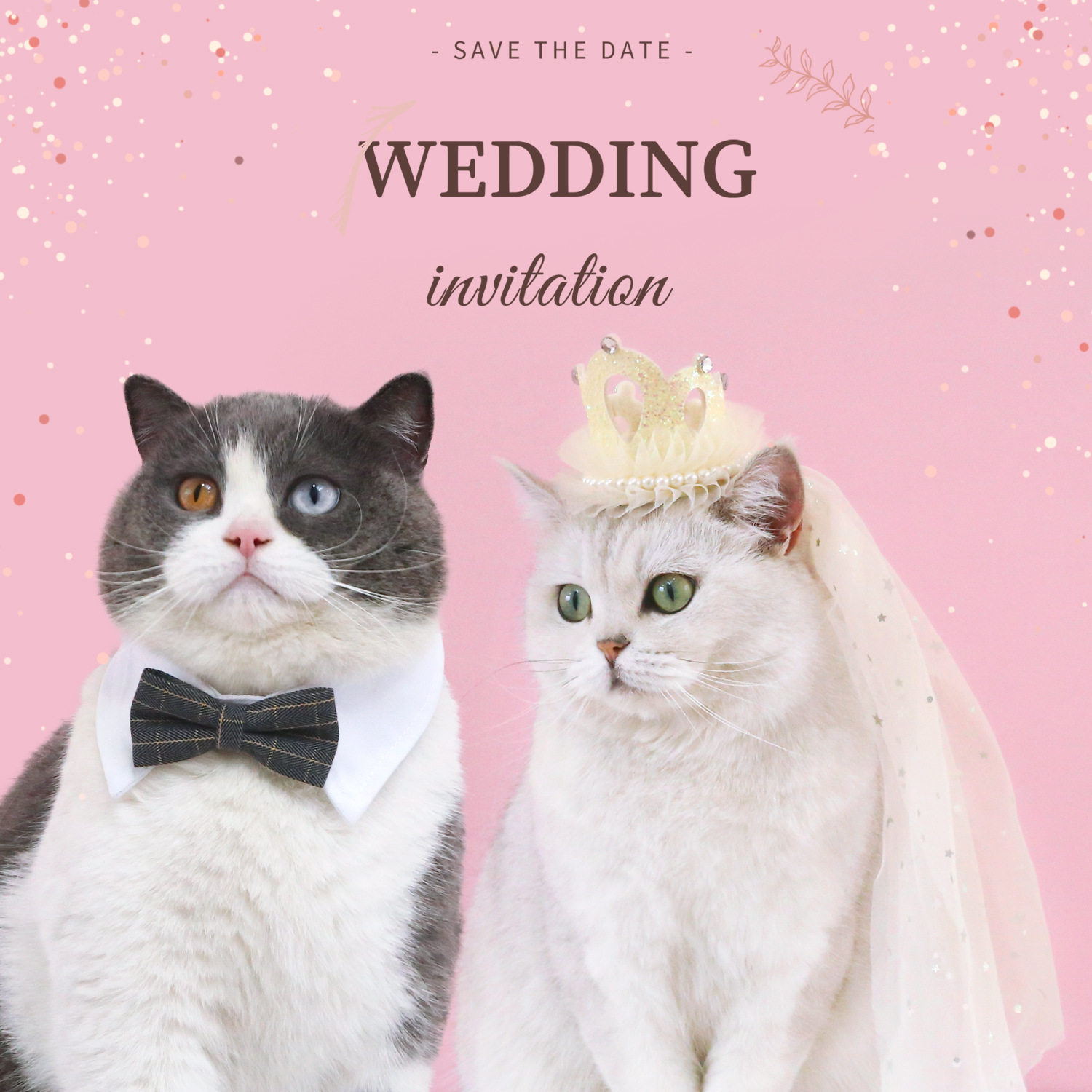 宠物婚礼头纱公主皇冠头饰猫咪狗狗亮片蕾丝珍珠派对中小型犬婚纱