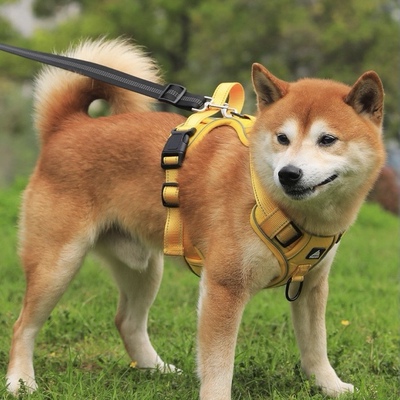 防爆冲四色可选宠物胸背反光