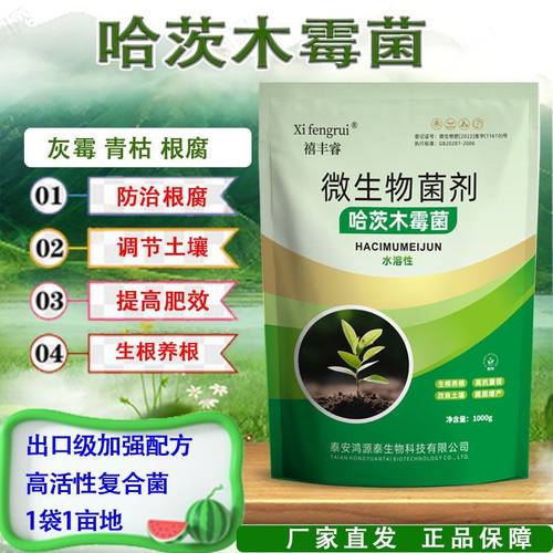 高含量100亿哈茨木霉菌微生物菌剂正牌厂家防根腐清真菌土传病害