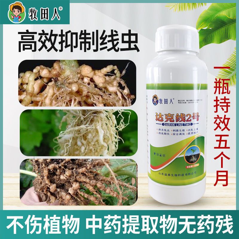根结线虫专用药高含量淡紫拟青霉菌番茄大姜癞皮【新疆西藏专链】