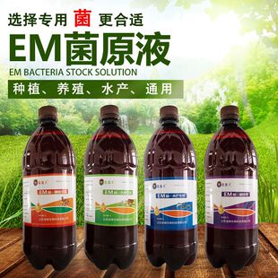 EM菌液EM菌原露EM益生菌原液EM菌剂复合微生物菌【新疆西藏专链】