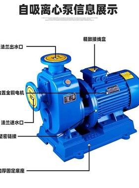 380vZW/BZ50ZW15-30/60ZW20-25100ZW100-15/65ZW40-50循环灌溉泵