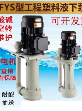 水泵带上水管FSY40-18-1.5/FSY40-20-2.2耐酸碱液下泵PP3HP喷淋塔