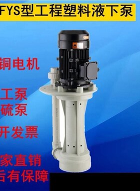 FSY50-22-2.2/FSY65-24-3120w250w370w550w立式液下泵3HP水泵PP