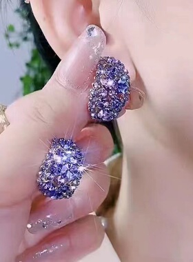 网红高级感轻奢时尚水晶耳钉银针气质耳环女个性小众设计耳饰耳扣