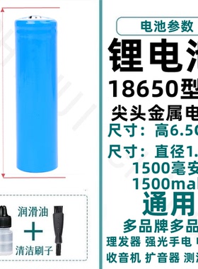飞易立式奥克斯理发器电池充电器