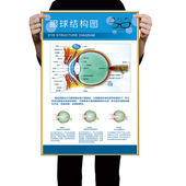眼肌运动训练图远眺挂图眼睛训练图视力恢复眼保健操挂图眼科海报
