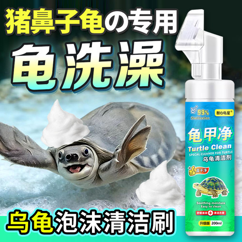 猪鼻子龟专用龟洗澡龟甲净