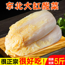 正宗东北特产大缸腌制酸白菜真空酸菜丝农家整棵泡酸菜2.5斤包邮