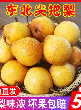 尖把梨秋子梨可做冻梨东北特产辽宁鞍山小酸梨孕妇水果包邮葫芦梨