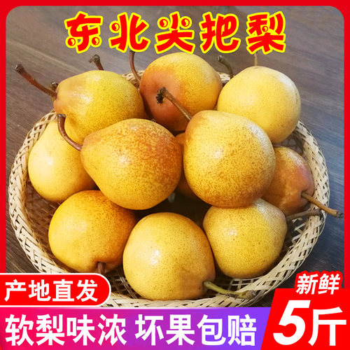 东北特产葫芦梨尖把梨软糯酸甜口