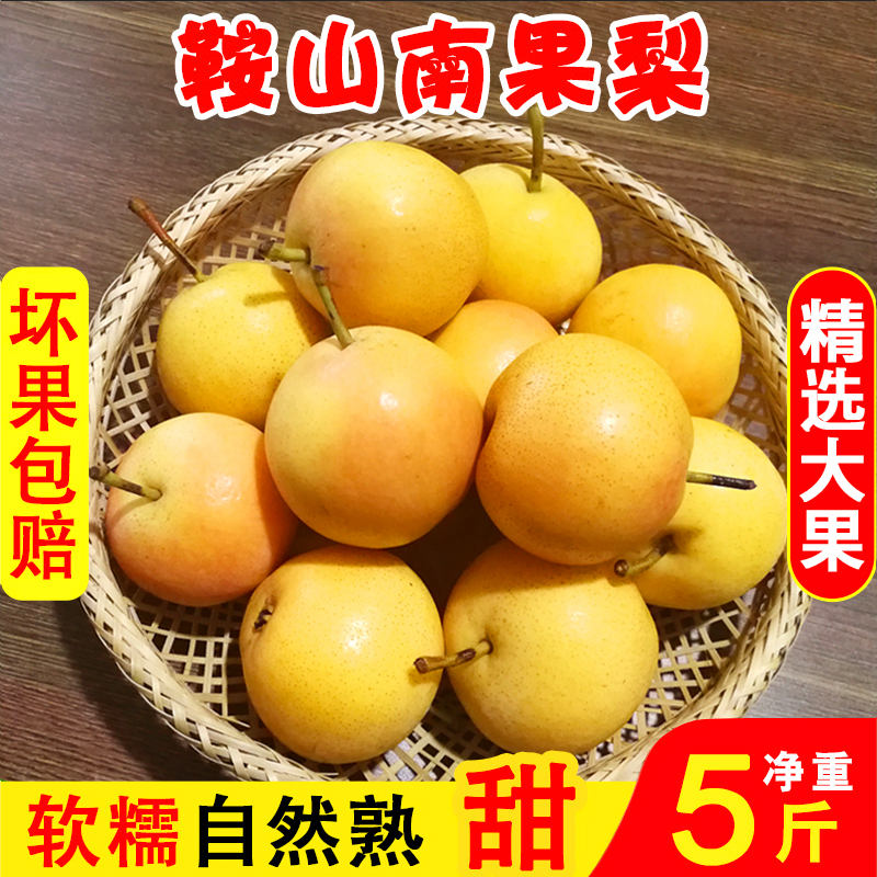 鞍山5斤海城东北特产新鲜南果梨