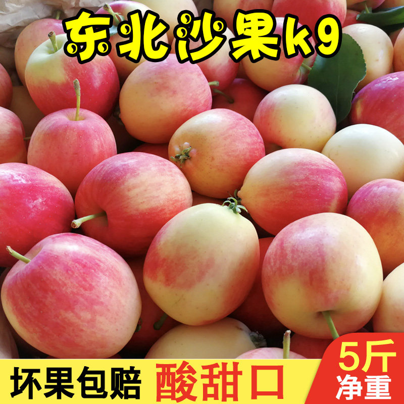东北k9沙果小苹果7月鲜海棠果花红果非鸡心果孕妇新鲜水果5斤包邮 - 实物图